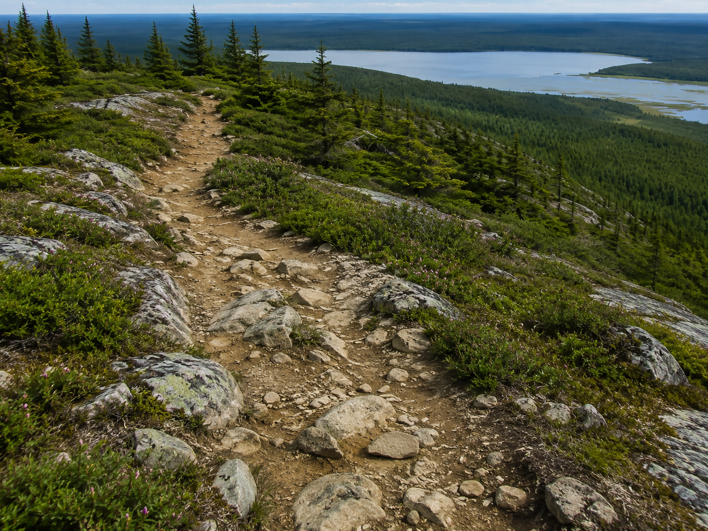 rocky-trail-through-forest-near-yukon-inns-lake-view